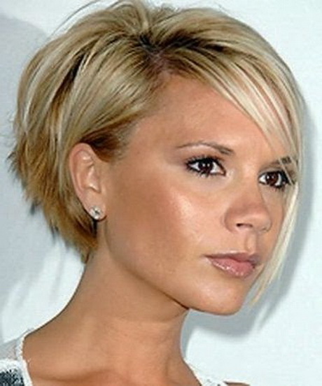 Kurzhaar Bob Rundes Gesicht