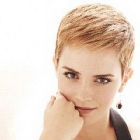 pixie-frisuren-bilder-39-18 Pixie frisuren bilder